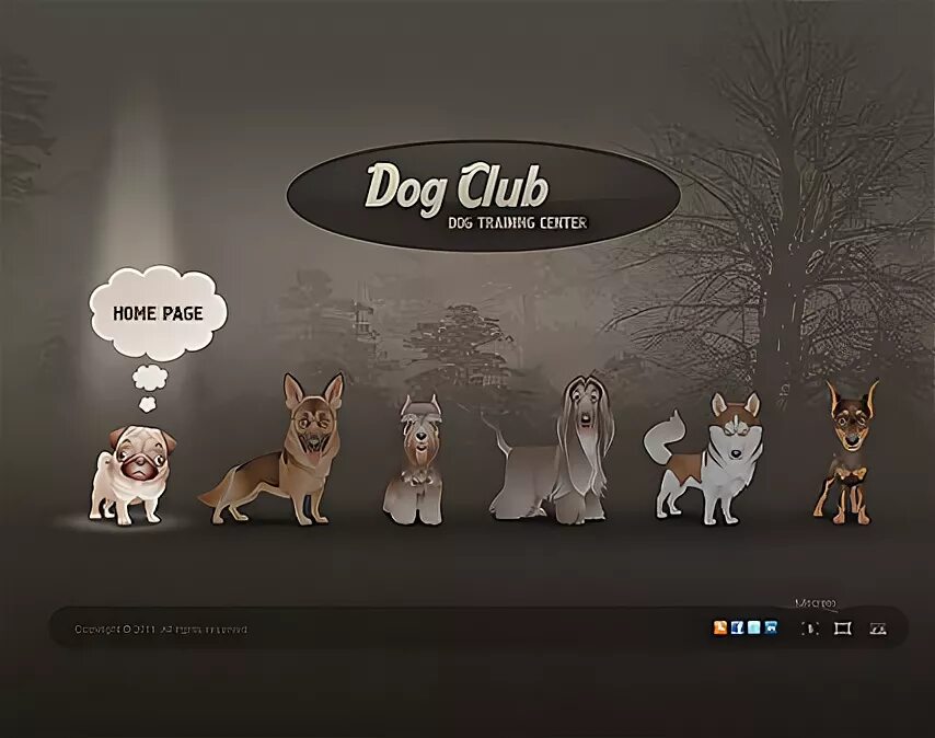 Собаки клаб. Веб дог. Woobledogs название. Dogs Club Instagram.