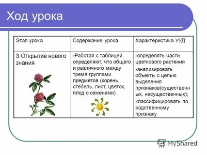 Ход урока конспект