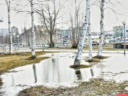 Апрель сургут