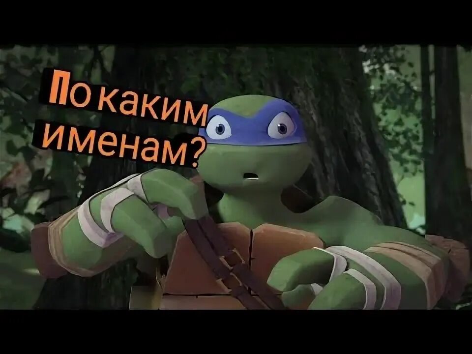 Тест кто ты из черепашек. Тест кто ты из черепашек