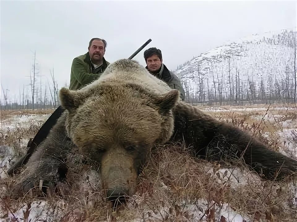 БОЛЬШАЯ ОХОТА на МЕДВЕДЯ! Дальний ВОСТОК BEAR HUNT точный выстрел! смотреть ви