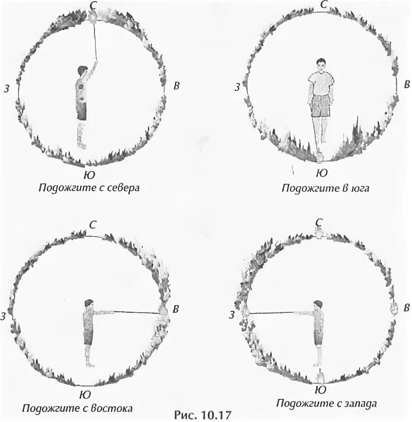 Схема прямой круг даосский обратный круг. Прямой и обратный даосский круг энергии. Даосский круг практика. Фаербол прямой и обратный круг.