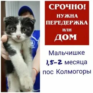 Отнесешь домой