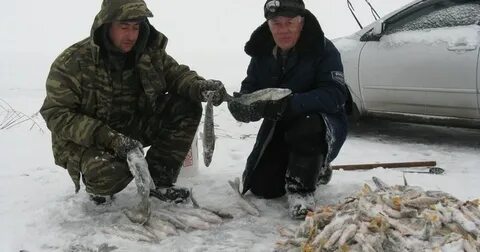 Прогноз чаны
