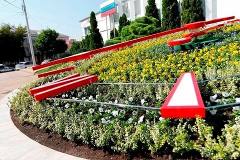 Цветочный краснодарский