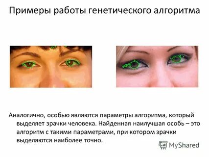 Лучшие особи
