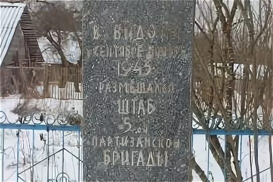 Партизанская 5 букв. Видони Солецкий район. Деревня Видони. Д. Видони Новгородская область. Деревня Киевец Новгородская область.