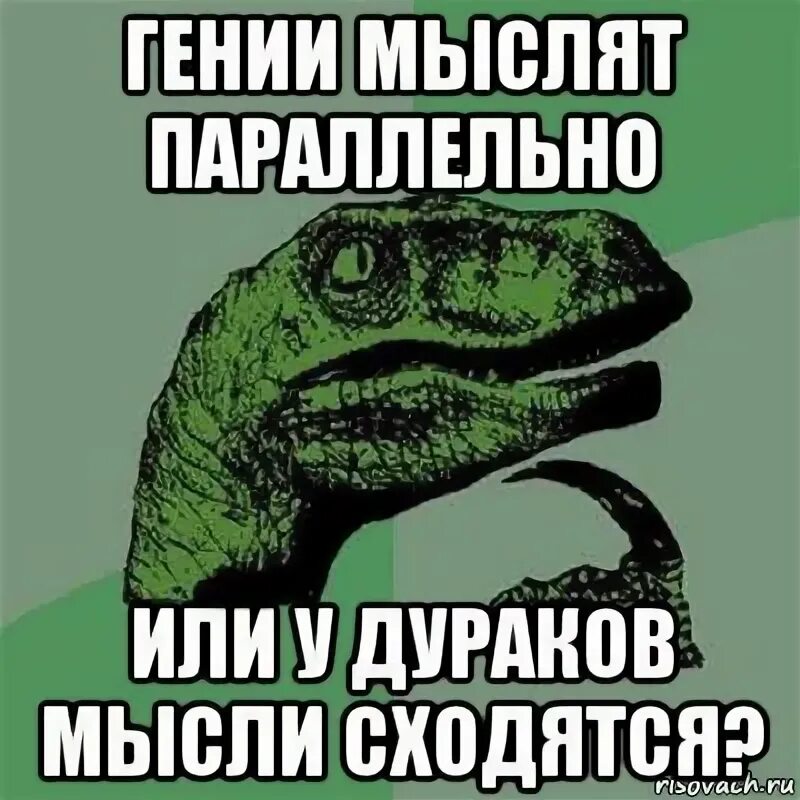 Дурак мысли
