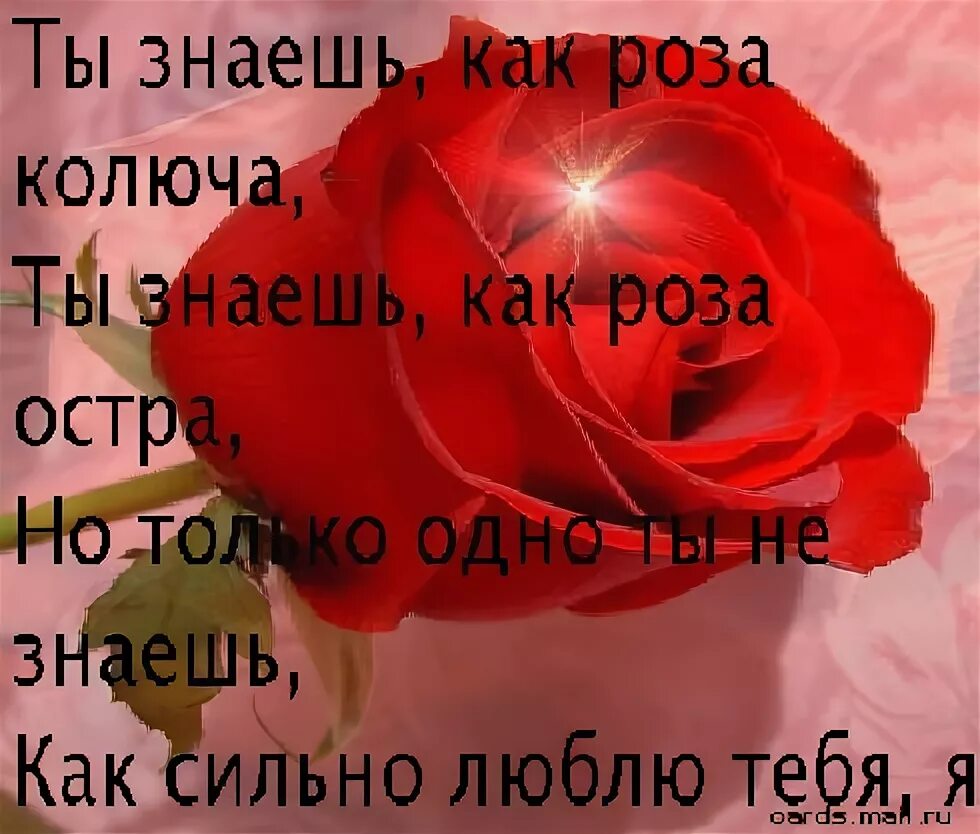 Сказать как сильно люблю девушке. Люблю тебя очень сильно. Я тебя очень сильно люблю стихи. Люблю тебя сильно сильно стихи. Я люблю тебя сильно сильно стих.