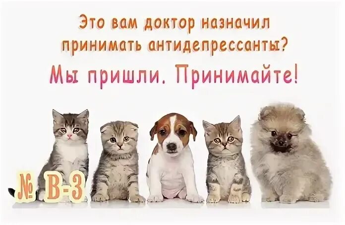 Приходите принимать. Приходите к нам учиться. Приходите к нам учиться в техникум. Спасибо за покупку надпись. Звонок мастеру.