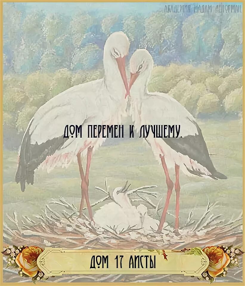 Робин ленорман. Риолис аисты. Оракул аисты. Аист фото. Галерея колоды романтическая ленорман.