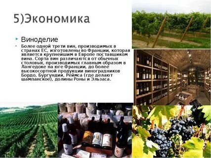 Франция введение