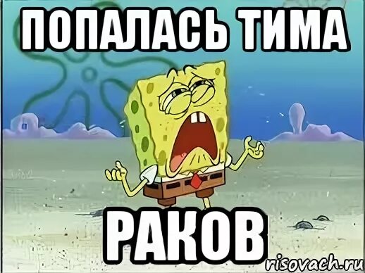 Что значит тим. Гг мем. гг я ливаю meme. что означает тима. группа гг я ливаю.
