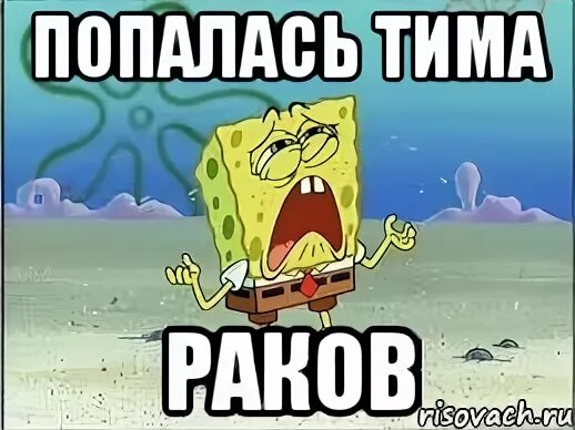 О как же хорошо что моя тима. Гг Мем. Гг я ливаю meme. Что означает Тима. Группа гг я ливаю.