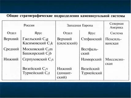 Система отдел ярус