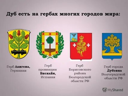 Окружающий мир гербы городов