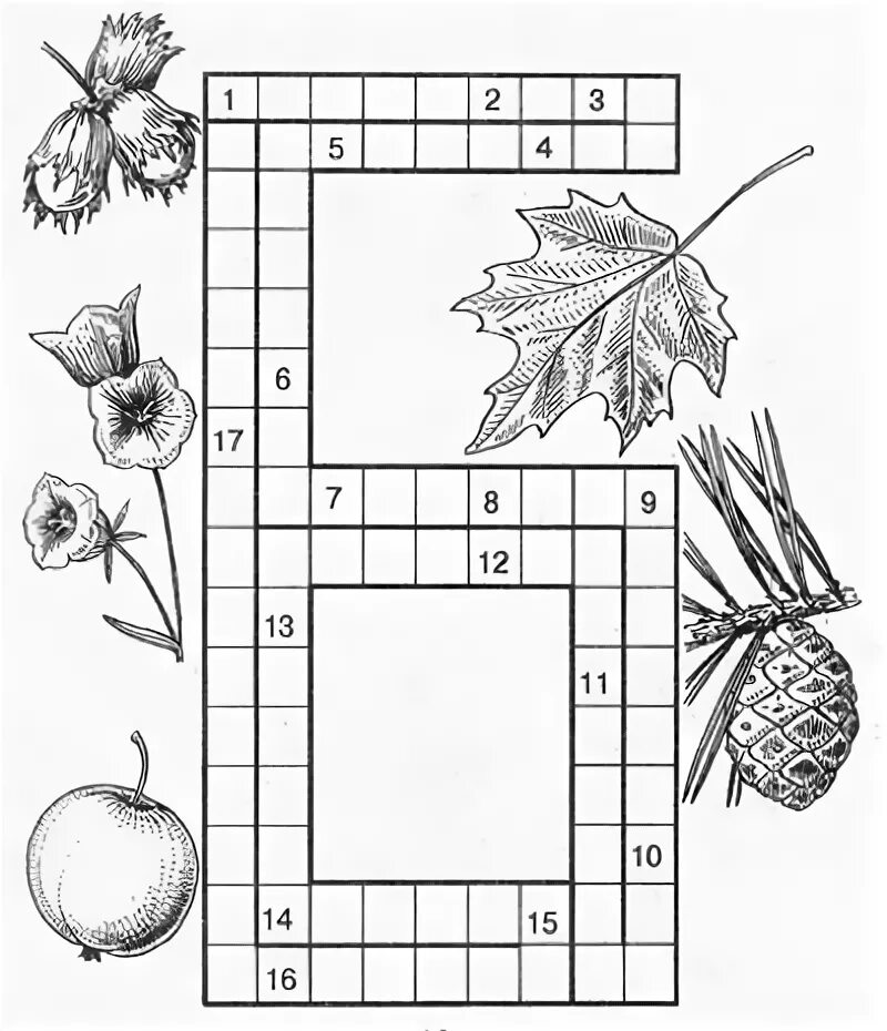 Чайнворд по биологии. Чайнворды для детей 7 лет. Кроссворд цветы. Чайнворд по биологии на тему плоды. Биология 6 класс кроссворд на тему плоды