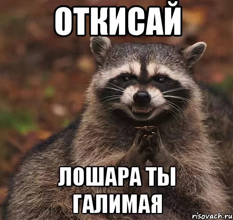 Слово лошара. Надпись лошары. Лошара. Лошара. Слово лошара.