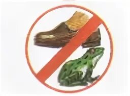 Не будем срывать цветы пусть красивые растения остаются в природе. Не будем обижать лягушек и жаб. Лягушка в знаке запрещено. Не будем обижать лягушек и жаб. Не будем обижать лягушек и жаб рисунок.