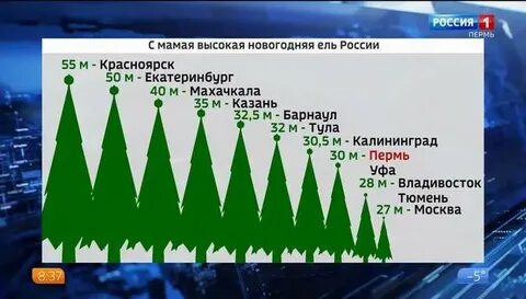 Елки рейтинг