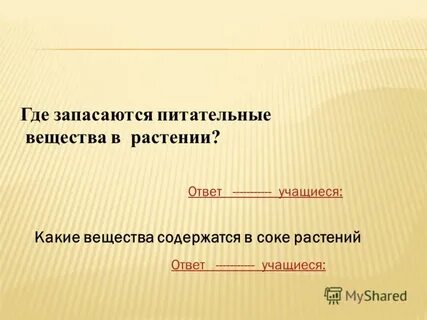 Как растения запасают питательные вещества