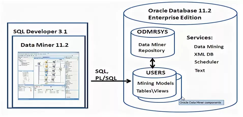 Database edition. Oracle database enterprise edition. oracle data mining 11g. майнер database. oracle готовая модель.