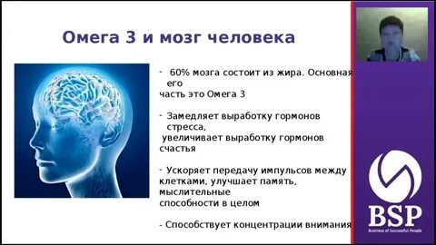 Из чего состоит мозг из жира