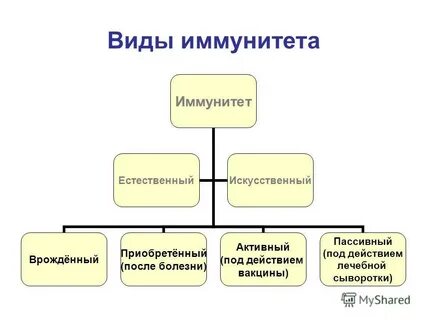 Пассивный под