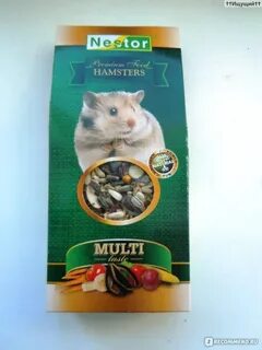 Хамстер отзывы