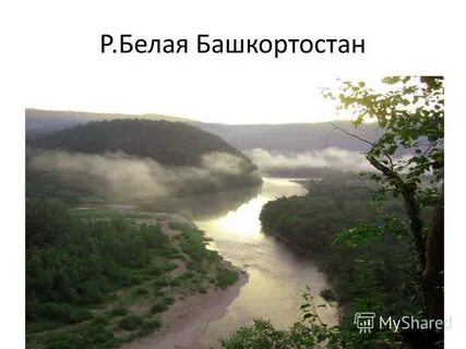 Выполни рисунки показывающие реку реки твоего края