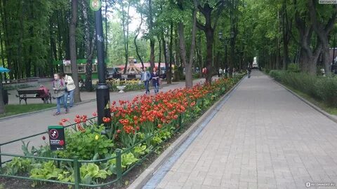 Бабушкинская парк победы