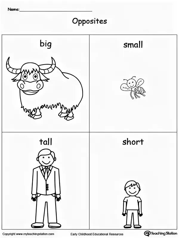Задания на short Tall. Карточки opposites. Противоположности в английском языке для детей. Задания на big small.
