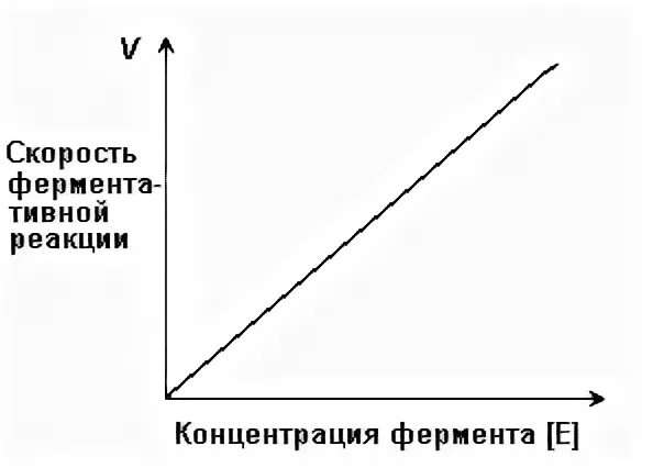 Зависимость ферментов от концентрации субстрата. Зависимость скорости реакции от концентрации фермента. Зависимость активности ферментов от концентрации фермента. Скорость реакции от концентрации фермента. Зависимость скорости реакции от концентрации фермента и субстрата.