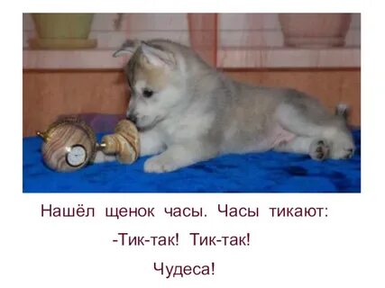 Текст песни тик так тикают
