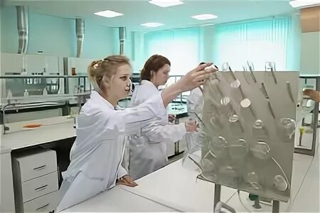 Колледж юность