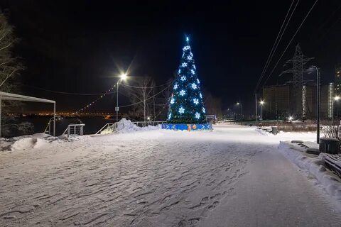 Елки на горке