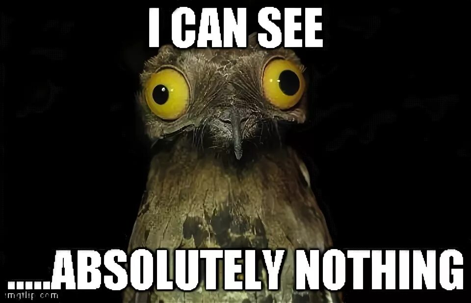 I have an eye but see nothing. I see nothing. nothing to see here meme. i see nothing случайные связи\. nothing to see here прикол.