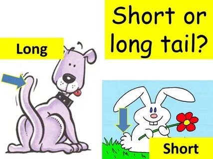 Long picture