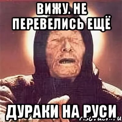 Не перевелись ещё ..дураки .. На Руси !. Слава Богу дураков на Руси лет на СТО. Дураки на Руси не переведутся. Дураков в России лет на СТО. Не перевелись на руси