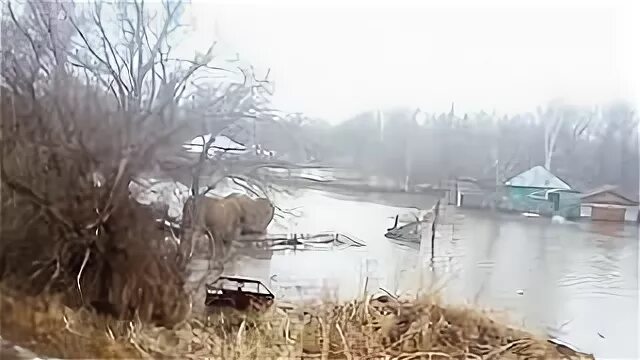 Село огни Усть-Калманского района Алтайского края. Село огни Алтайский край. Новобураново Усть-Калманский район Алтайского края. Село огни Алтайский край Усть Калманский. Погода алтайского края село огни