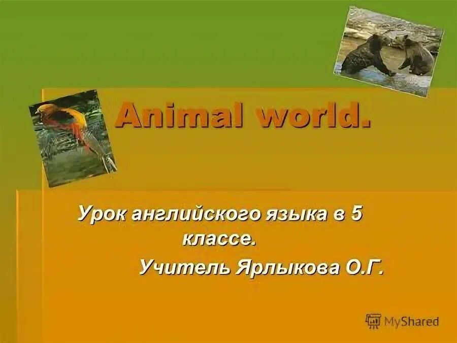 Био уроки. Био уроки