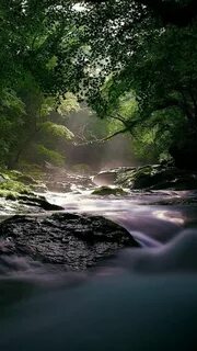 Заставки природа вертикальные