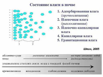 В ней влагу и не