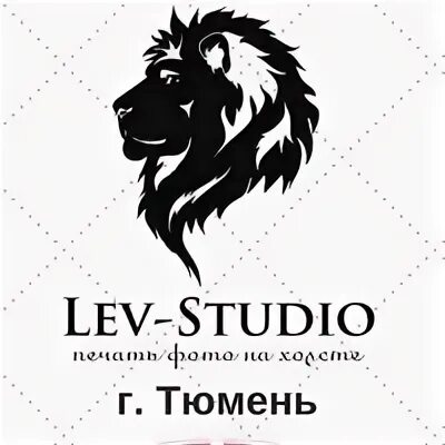 Лев студия. Лев студио.