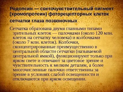 Светочувствительные пигменты содержатся