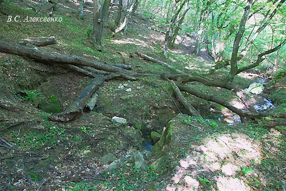 родник в овраге. онучин овраг. в овраге герой. свалки самарской области. п.