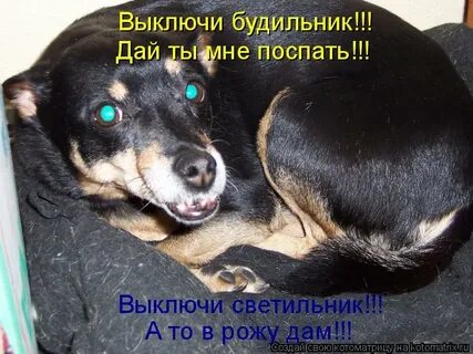 Давайте выключайтесь