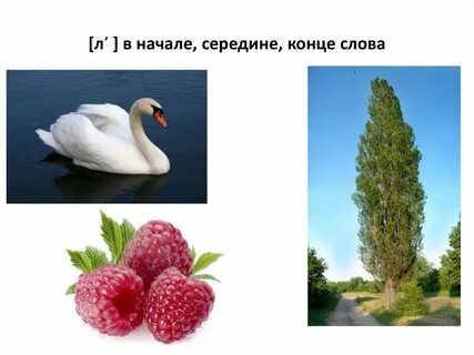 П в конце слова
