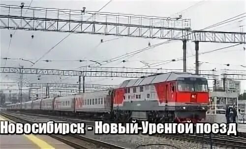 Ижевск новый уренгой поезд