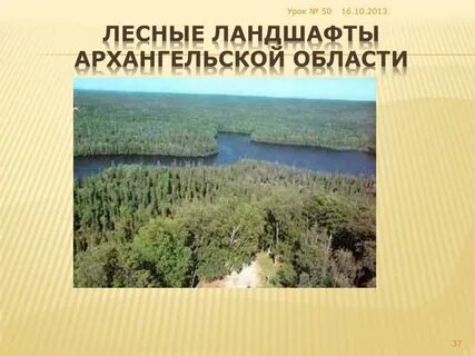 Природные ресурсы архангельской